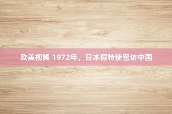 欧美视频 1972年，日本假特使密访中国