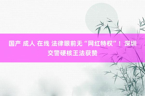 国产 成人 在线 法律眼前无“网红特权”！深圳交警硬核王法获赞
