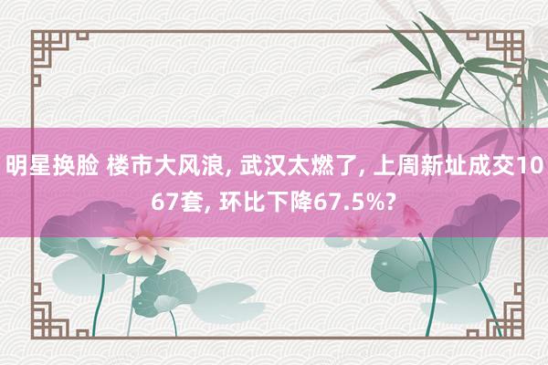 明星换脸 楼市大风浪, 武汉太燃了, 上周新址成交1067套, 环比下降67.5%?