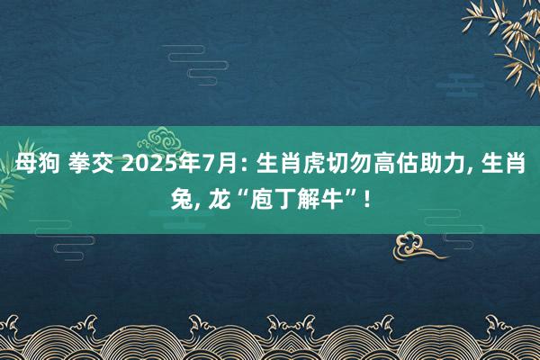 母狗 拳交 2025年7月: 生肖虎切勿高估助力, 生肖兔, 龙“庖丁解牛”!